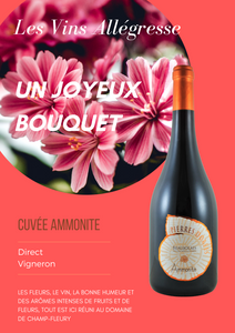 Domaine de Champ-Fleury Cuvée Ammonite 