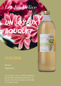 Domaine de Champ-Fleury - Jus de raisin