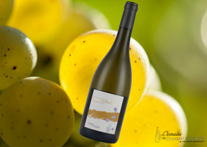 Domaine de Champ-Fleury - Chardonnay